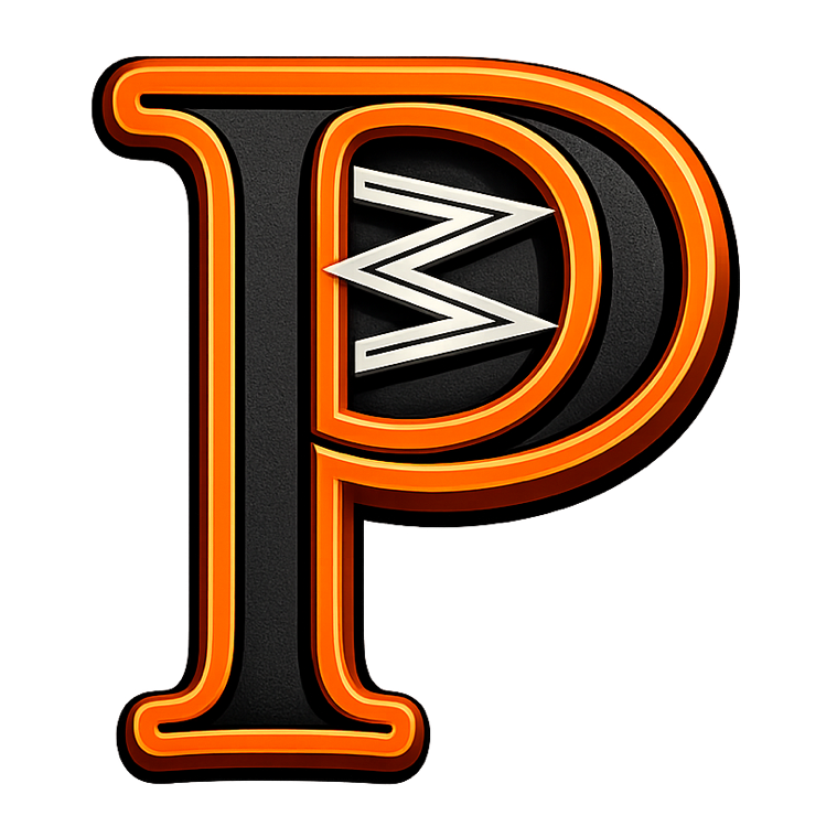 Prowider logo
